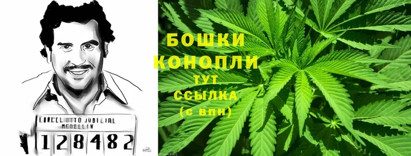 площадка официальный сайт  Алексин  МАРИХУАНА Ganja 